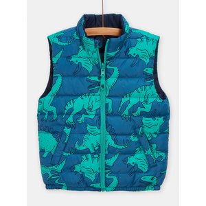 Παιδικό Αμάνικο Μπουφάν για Αγόρια Blue Green Dino