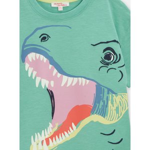 Παιδική Μπλούζα για Αγόρια Green Dino
