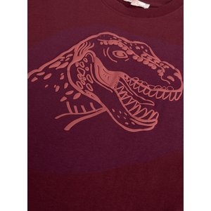 Παιδική Μπλούζα για Αγόρια Burgundy Dino