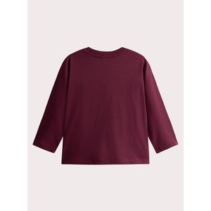 Παιδική Μπλούζα για Αγόρια Burgundy Dino