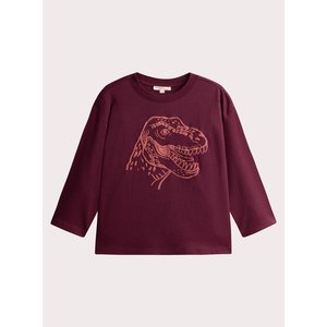 Παιδική Μπλούζα για Αγόρια Burgundy Dino