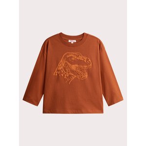 Παιδική Μπλούζα για Αγόρια Orange Dino