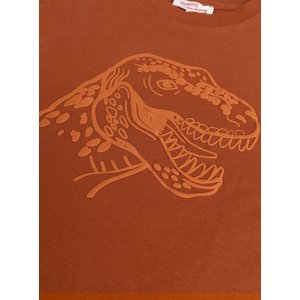 Παιδική Μπλούζα για Αγόρια Orange Dino