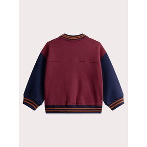 Παιδική Ζακέτα για Αγόρια Burgundy Rugby