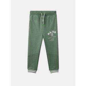 Παιδικό Παντελόνι Φόρμας για Αγόρια Green Raccoon