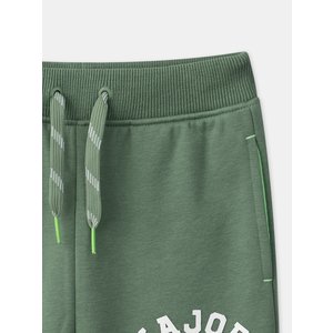 Παιδικό Παντελόνι Φόρμας για Αγόρια Green Raccoon