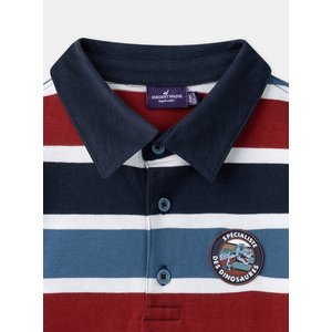 Παιδική Μπλούζα για Αγόρια Stripped Blue and Red