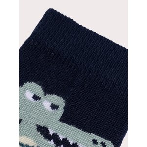 Παιδικές Κάλτσες για Αγόρια Colourful Crocodile
