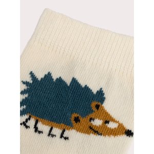Παιδικές Κάλτσες για Αγόρια Colourful Hedgehog