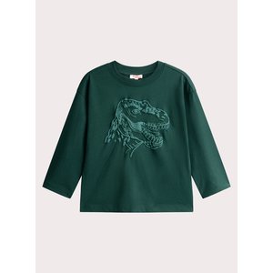 Παιδική Μπλούζα για Αγόρια Forrest Green Dino