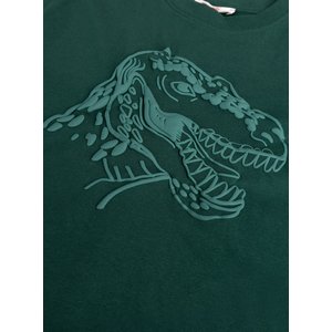 Παιδική Μπλούζα για Αγόρια Forrest Green Dino