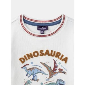 Παιδική Μπλούζα για Αγόρια White Dinosauria