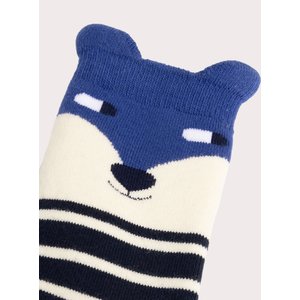 Παιδικές Κάλτσες για Αγόρια Fox Stripes