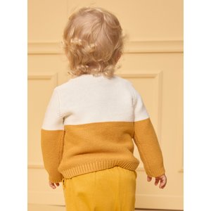 Βρεφικό Πουλόβερ για Αγόρια Two-toned Fox