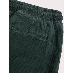 Παιδικό Παντελόνι για Αγόρια Green Corduroy