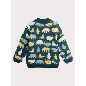 Παιδική Ζακέτα για Αγόρια Blue Arctic