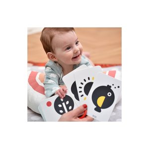 Βρεφικό Παιχνίδι Banana Panda Κάρτες Υψηλής Αντίθεσης Διπλής Όψης 0Μ+