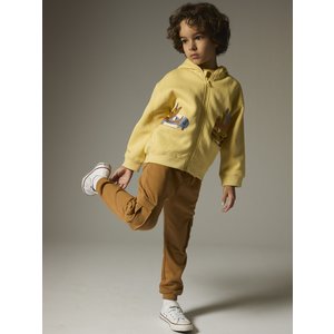Παιδική Ζακέτα για Αγόρια Yellow Fleece