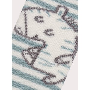 Βρεφικές Κάλτσες για Αγόρια Blue Zebra