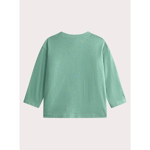 Παιδική Μπλούζα για Αγόρια Shiny T-Rex