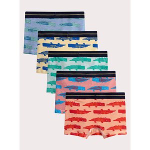 Σετ Παιδικά Εσώρουχα για Αγόρια Multi Alligators 5 τμχ