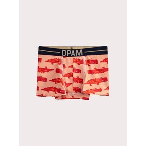 Σετ Παιδικά Εσώρουχα για Αγόρια Multi Alligators 5 τμχ