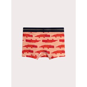 Σετ Παιδικά Εσώρουχα για Αγόρια Multi Alligators 5 τμχ