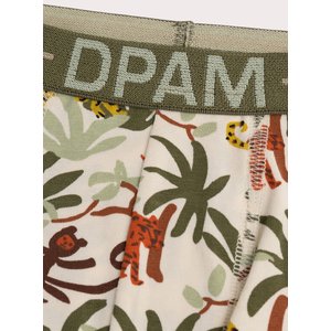 Σετ Παιδικά Εσώρουχα για Αγόρια Chaki Jungle 3 τμχ