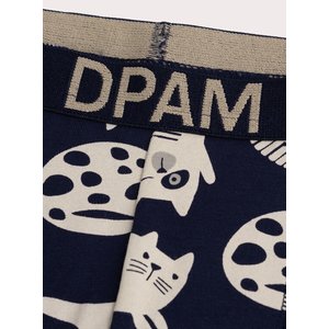 Σετ Παιδικά Εσώρουχα για Αγόρια Multi Cats 5 τμχ