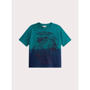 Παιδική Μπλούζα για Αγόρια Ombre T-Rex