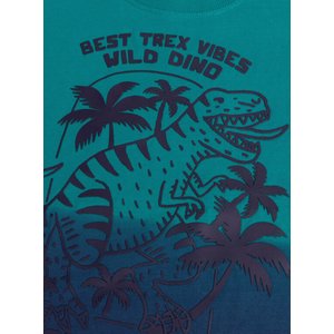 Παιδική Μπλούζα για Αγόρια Ombre T-Rex
