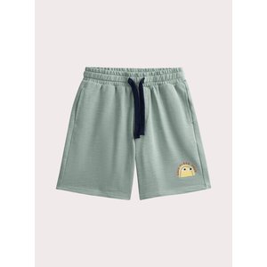 Παιδική Βερμούδα για Αγόρια Pale Mint Vibes