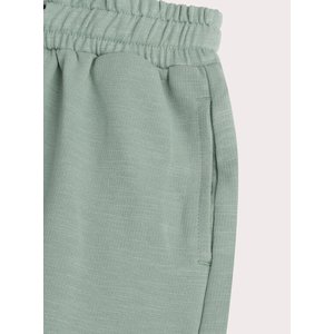 Παιδική Βερμούδα για Αγόρια Pale Mint Vibes