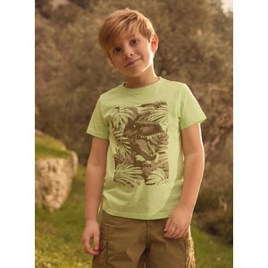 Παιδική Μπλούζα για Αγόρια Lime Dino