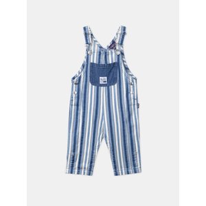 Βρεφική Σαλοπέτα για Αγόρια Blue Stripes