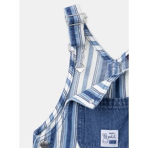 Βρεφική Σαλοπέτα για Αγόρια Blue Stripes