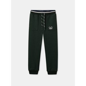 Παιδικό Παντελόνι Φόρμας για Αγόρια Green Joggings