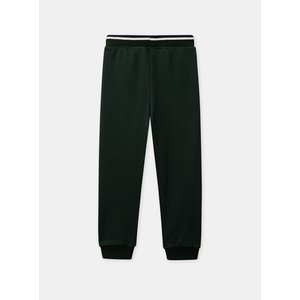 Παιδικό Παντελόνι Φόρμας για Αγόρια Green Joggings