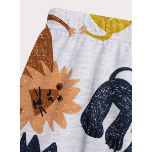 Σετ Παιδικές Πιτζάμες για Αγόρια Grey Zoo