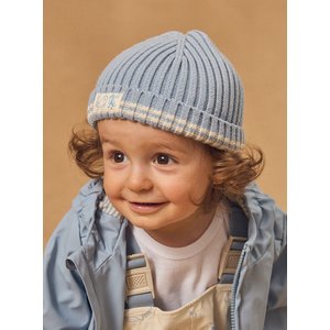 Βρεφικός Σκούφος για Αγόρια Baby Blue Friends