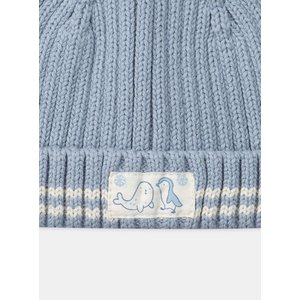 Βρεφικός Σκούφος για Αγόρια Baby Blue Friends