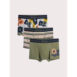 Σετ Παιδικά Εσώρουχα για Αγόρια Lion Print 3 τμχ