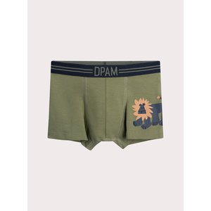 Σετ Παιδικά Εσώρουχα για Αγόρια Lion Print 3 τμχ