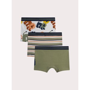Σετ Παιδικά Εσώρουχα για Αγόρια Lion Print 3 τμχ