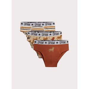 Σετ Παιδικά Εσώρουχα για Αγόρια Cool Leopards 3 τμχ