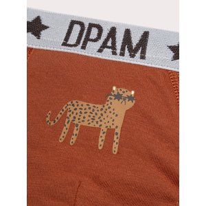 Σετ Παιδικά Εσώρουχα για Αγόρια Cool Leopards 3 τμχ