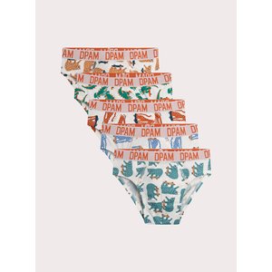 Σετ Παιδικά Εσώρουχα για Αγόρια White Skaters 5 τμχ