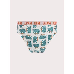 Σετ Παιδικά Εσώρουχα για Αγόρια White Skaters 5 τμχ