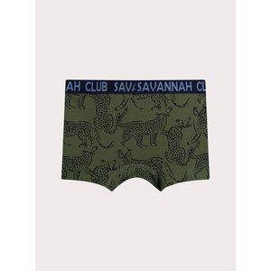 Σετ Παιδικά Εσώρουχα για Αγόρια Leopards Print 5 τμχ