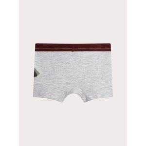 Παιδικά Σετ Εσώρουχα για Αγόρια